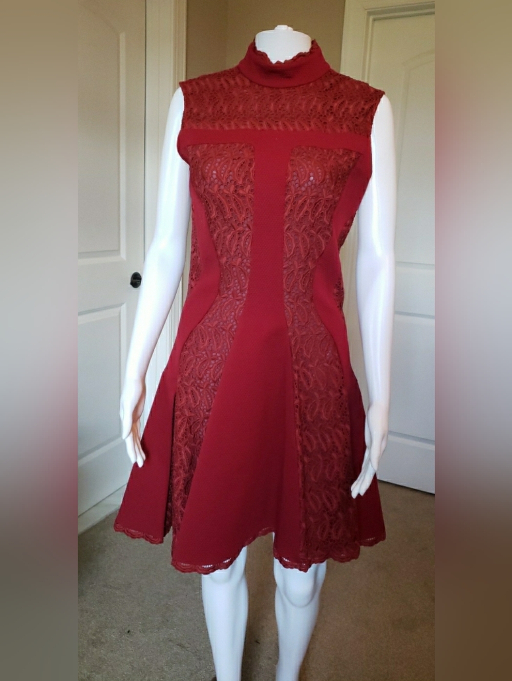 Alexander McQueen Sleeveless Crimson Broderie Anglaise Lace-Panel Mini Dress
